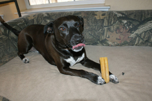 The Story Behind Your Dog's New Favorite Toy: Coffee Wood Chew Edition