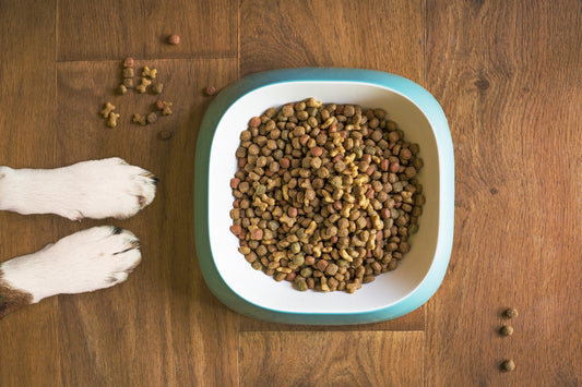 The Pitfalls of Highly Processed Dog Food, Treats and Kibble